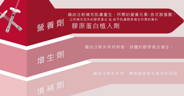 膠原蛋白針 熊貓針